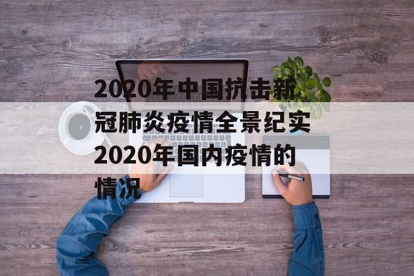 2020年中国抗击新冠肺炎疫情全景纪实 2020年国内疫情的情况